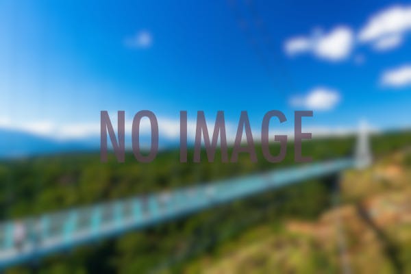 千鳥橋 岐阜 岐阜市 おすすめの人気観光・お出かけスポット Yahoo!トラベル